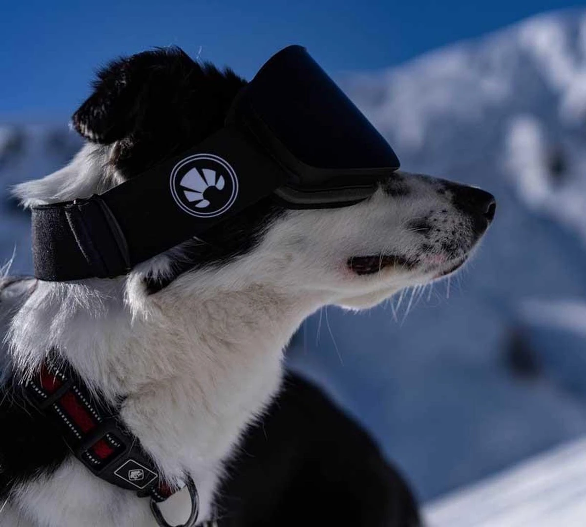 Bakedsnow Skibril - Abyss Black 8 Bakedsnow Skibril - Abyss Black - Afbeelding 6