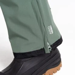 Dare 2b Dare2B, Achieve II Waterdichte Heren Skibroek, Duck Green, Maat M 18 Dare 2b Dare2B, Achieve II Waterdichte Heren Skibroek, Duck Green, Maat M -SINNER || Brunotti || Barts Verkoop 1200x1200 222