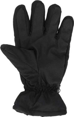 Heatkeeper Heren Ski Handschoenen Zwart 11 Heatkeeper Heren Ski Handschoenen Zwart -SINNER || Brunotti || Barts Verkoop 759x1200 1